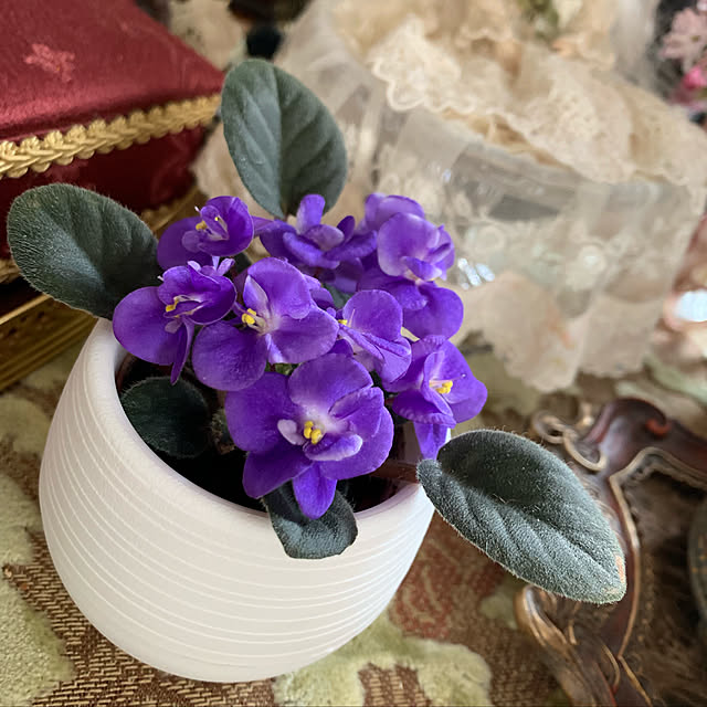 AYUKOさんの実例写真