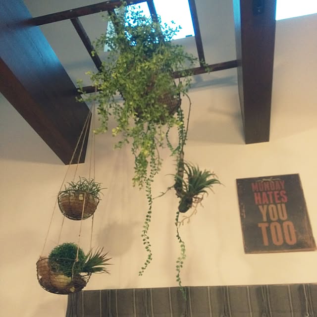 ikt.tamaさんの実例写真