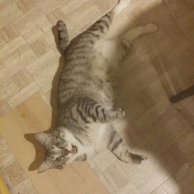 annさんの実例写真