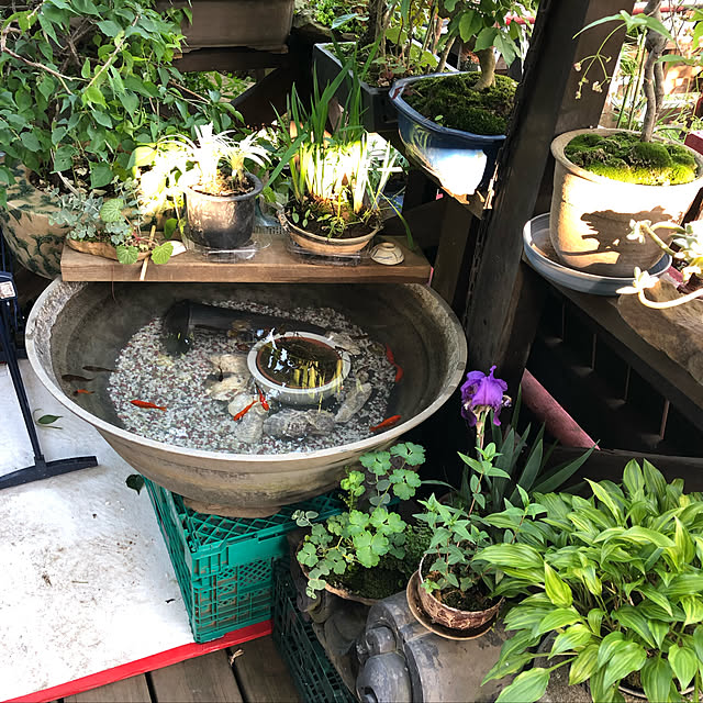 jijibabaさんの実例写真