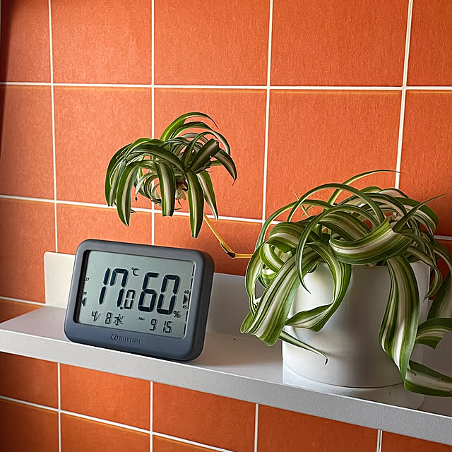 nobikoさんの部屋