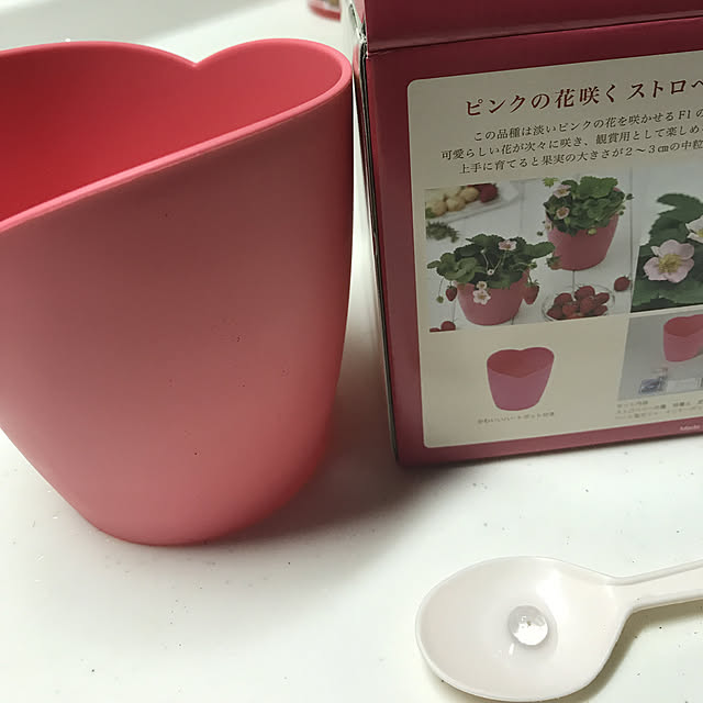 alchoさんの実例写真