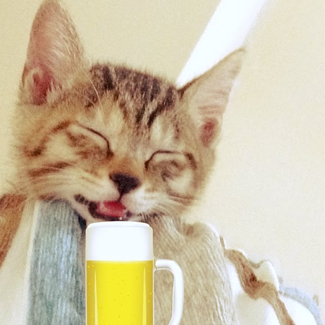 makiさんの実例写真