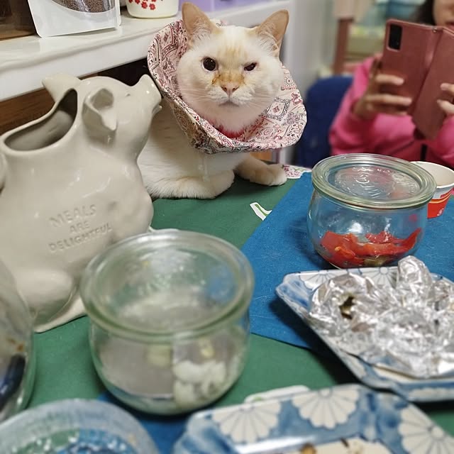 Yさんの実例写真