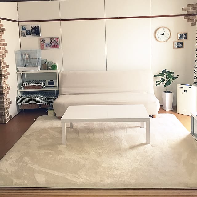 askさんの実例写真