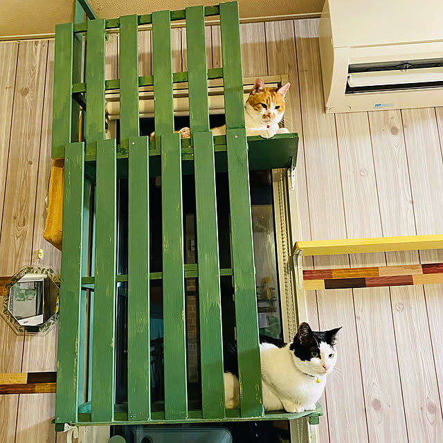 SHIHOさんの実例写真