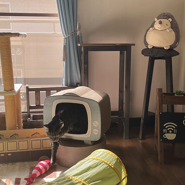 momocchiさんの部屋