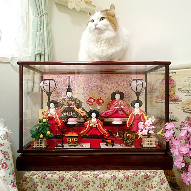 chururiさんの実例写真