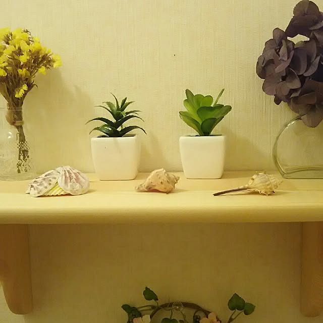 naopyiさんの実例写真
