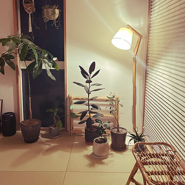 SHOKOさんの実例写真