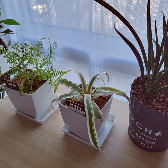 akimameさんの実例写真