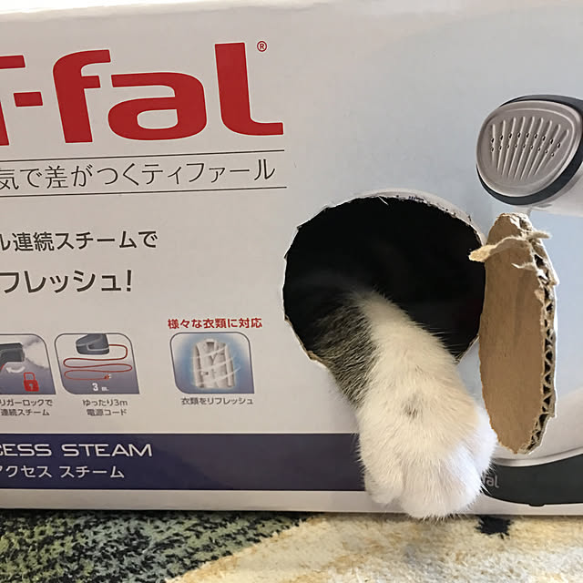 ippu0303Karinさんの実例写真