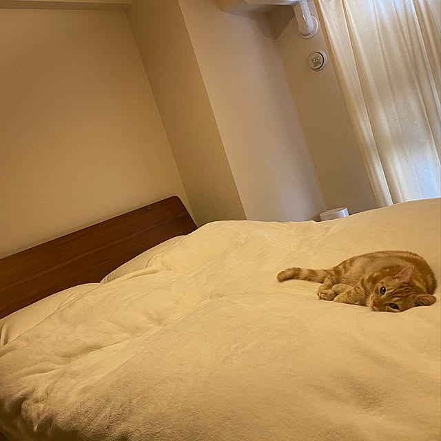 hachi101329さんの実例写真