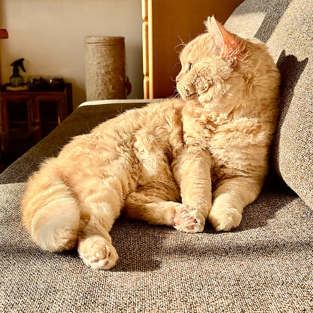 naokoさんの部屋