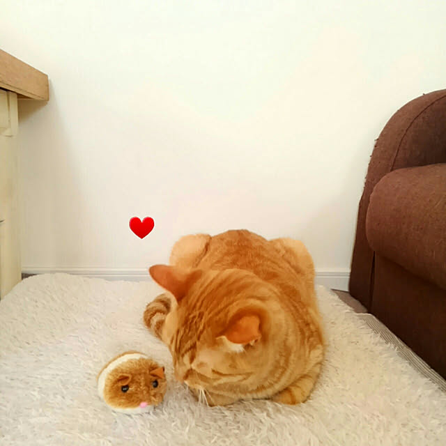 mayutan.さんの実例写真