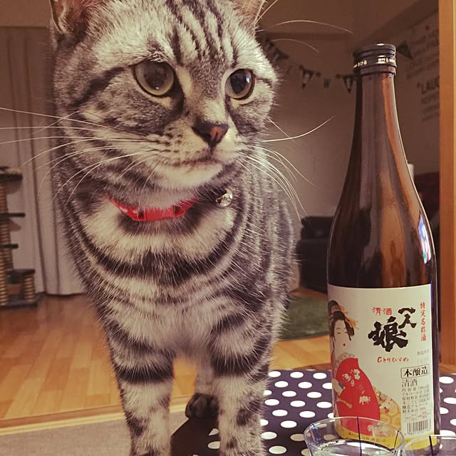 hiyupan88さんの実例写真