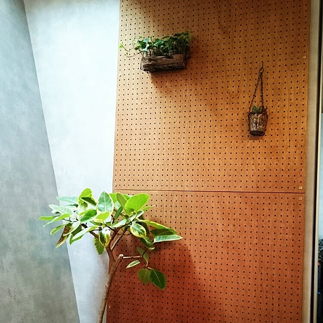 momo...さんの実例写真