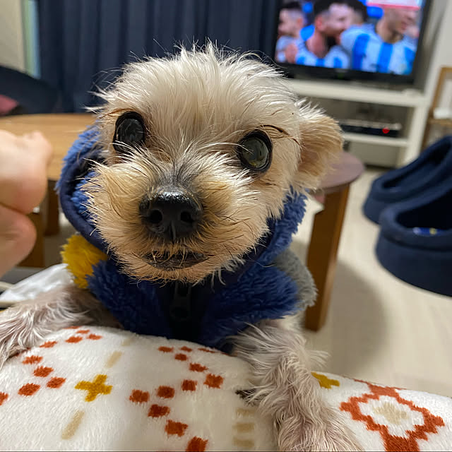 ohanaさんの実例写真