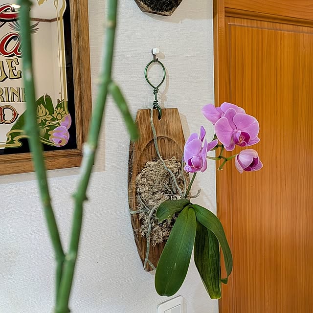 ot-gardenさんの実例写真