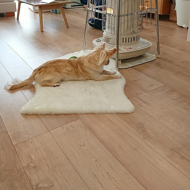 __home_m.さんの実例写真