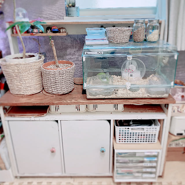 mai-roomさんの実例写真