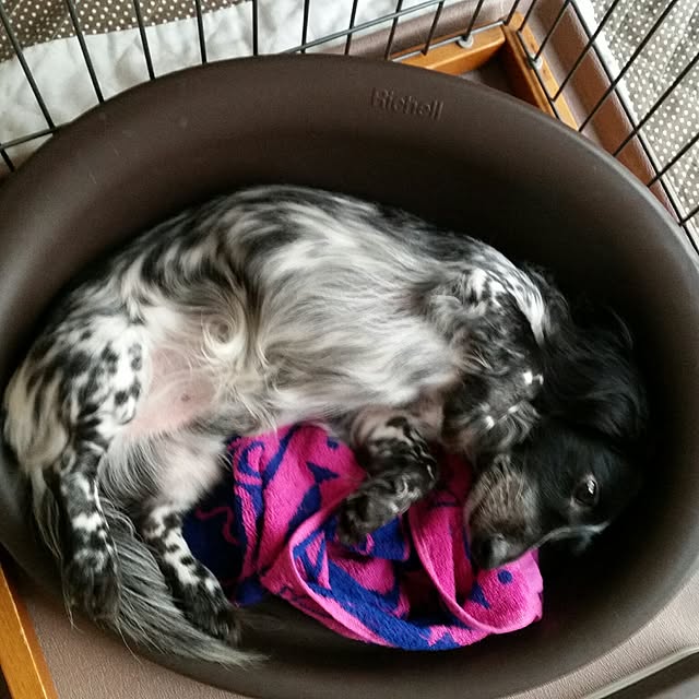 mmmさんの実例写真