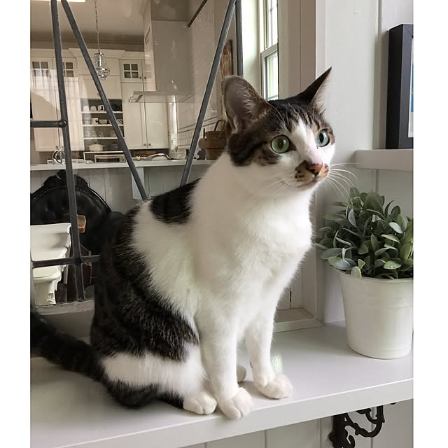 yuchiさんの実例写真