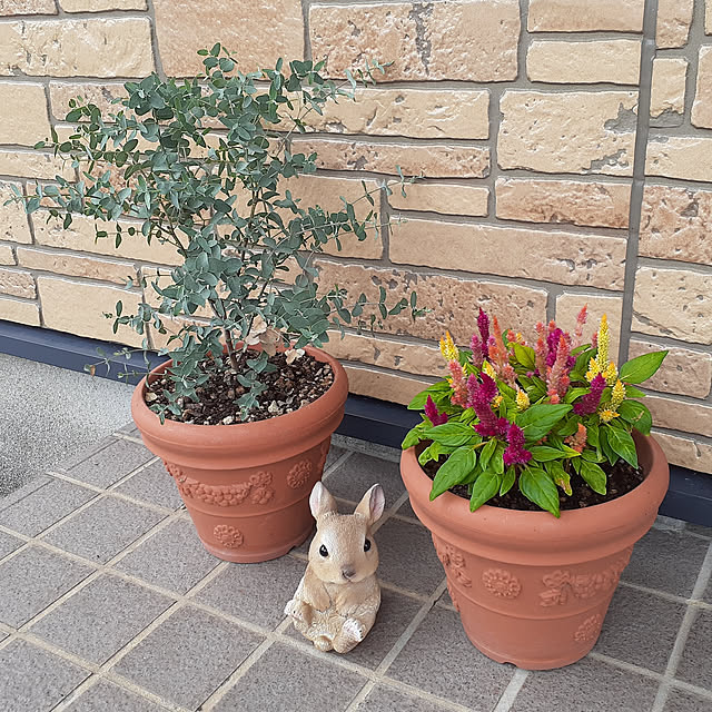 Johnmamaさんの実例写真