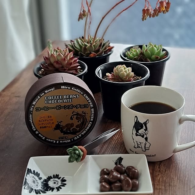 noaさんの部屋