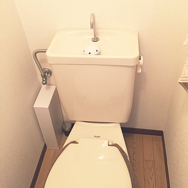 fun9.the.rock.さんの実例写真