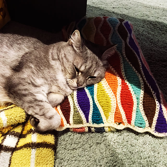 mayraionさんの実例写真