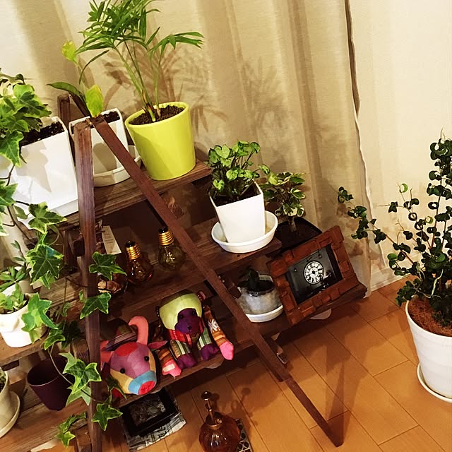 棚/一人暮らし/観葉植物/多肉植物/ハンドメイドのインテリア実例 - 2017-06-18 19:55:52