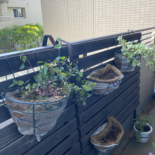 kopanさんの実例写真