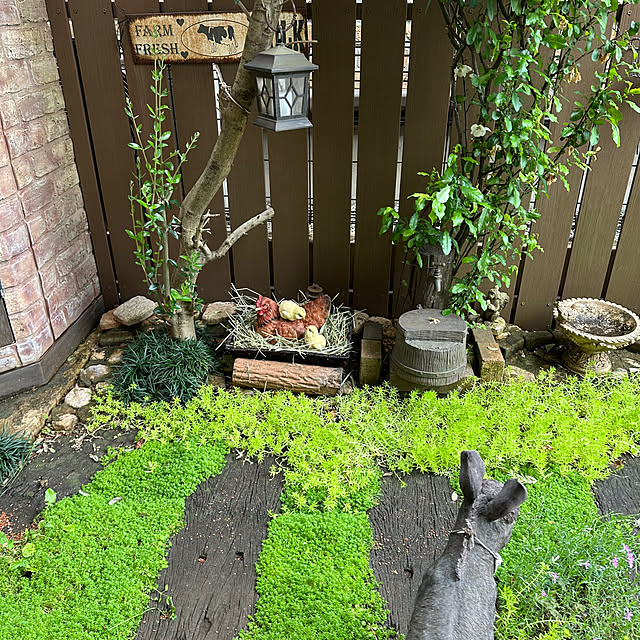 tabasaさんの部屋