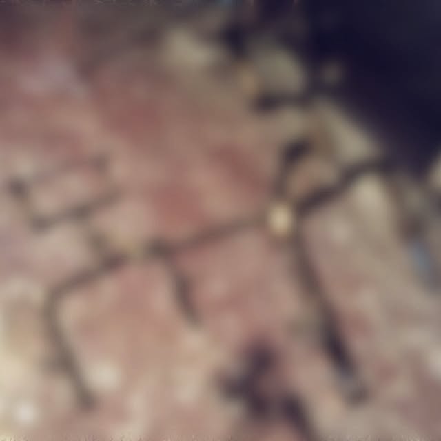 steampunkerさんの実例写真