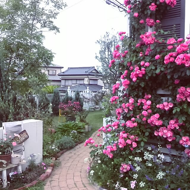 kiyosukeさんの実例写真