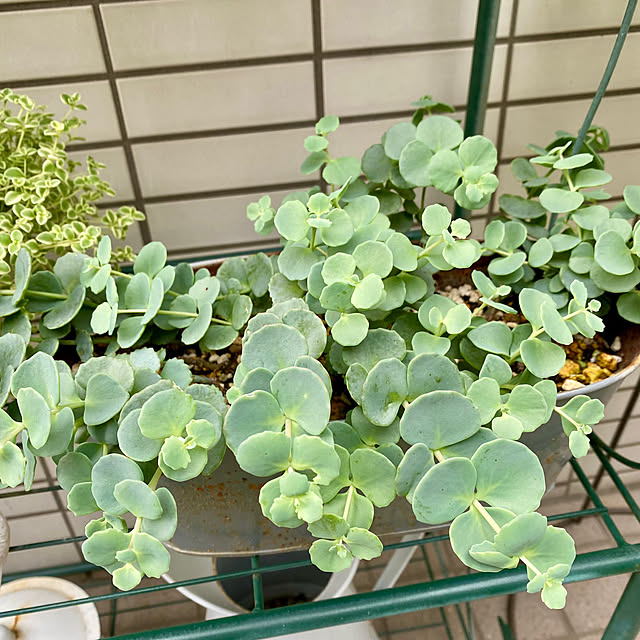 YuuKoさんの部屋