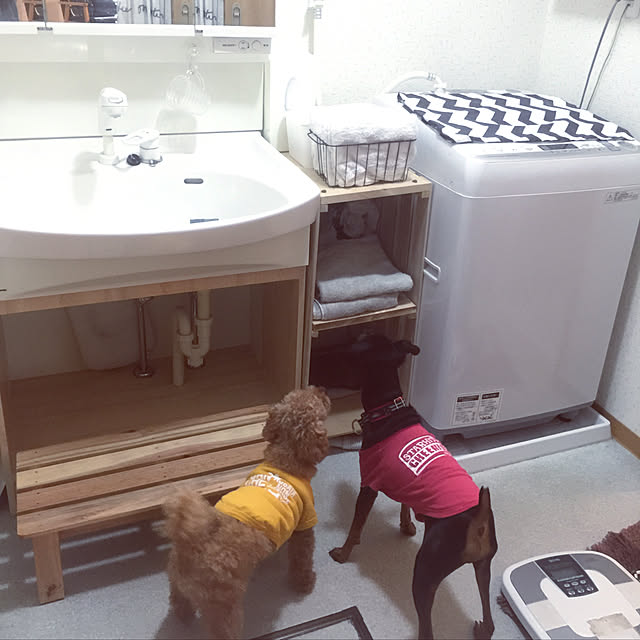 Hitomiさんの実例写真