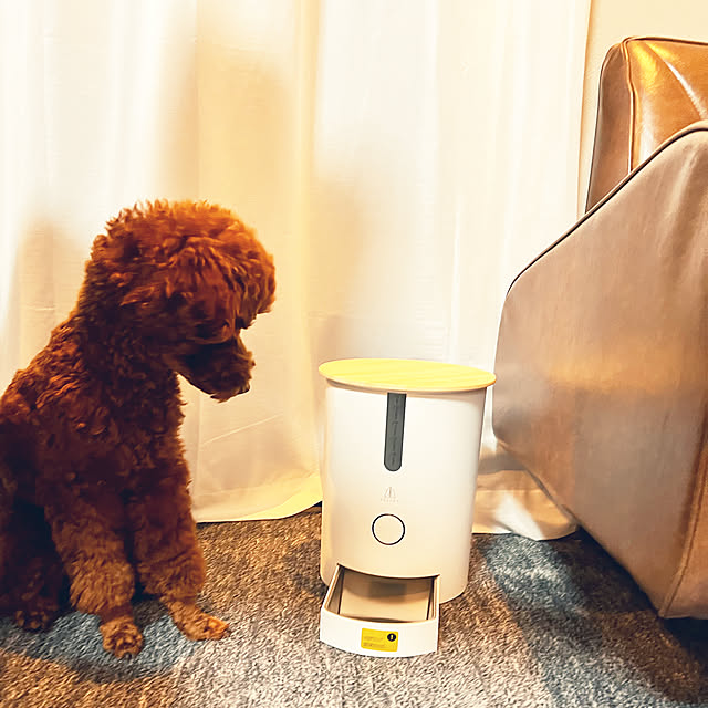 TOLIGO ペットフィーダー 自動餌やり機 自動給餌器 スマホで操作 TOLIGO ペットフィーダー 自動餌やり機 自動給餌器 スマホで操作