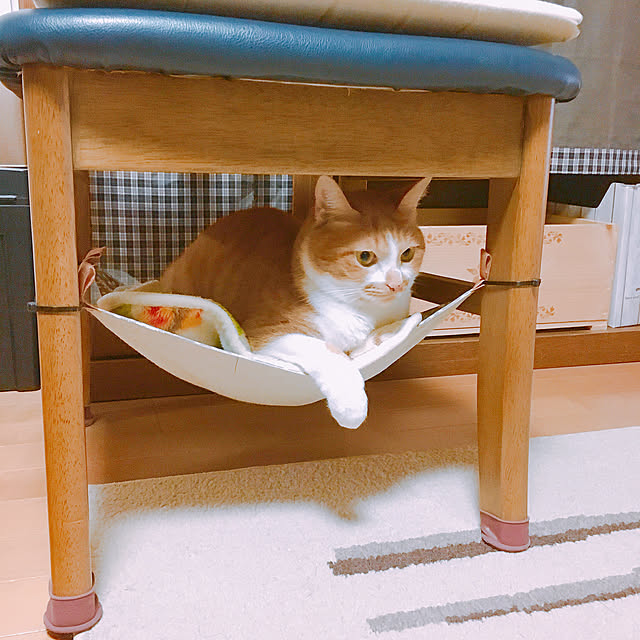 cocomaroさんの実例写真
