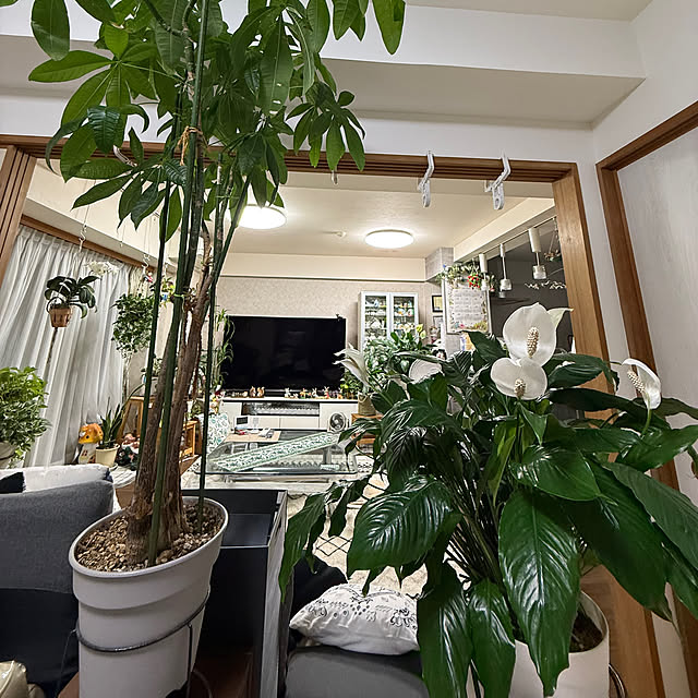 Aqettyさんの部屋