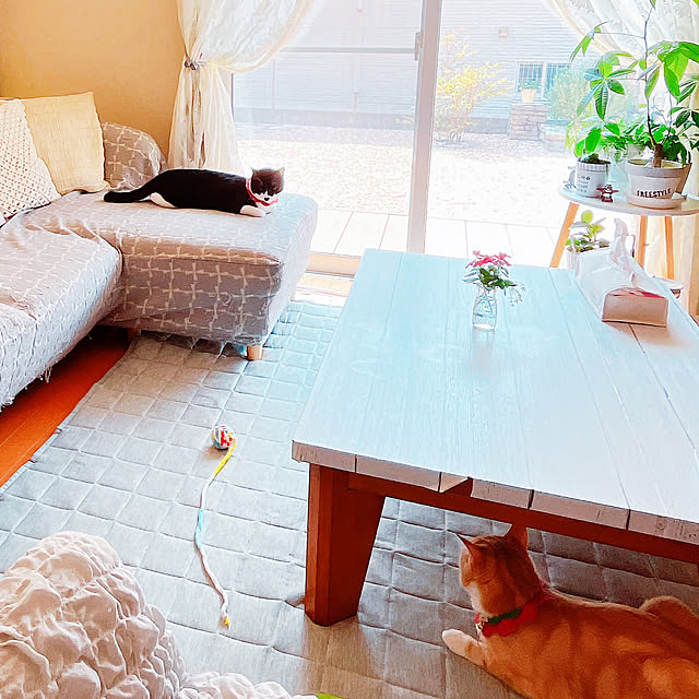 moolさんの部屋