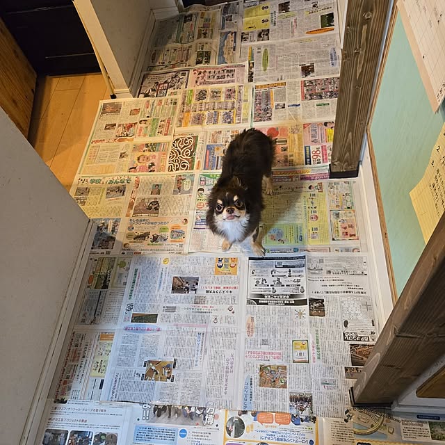 Eriさんの部屋
