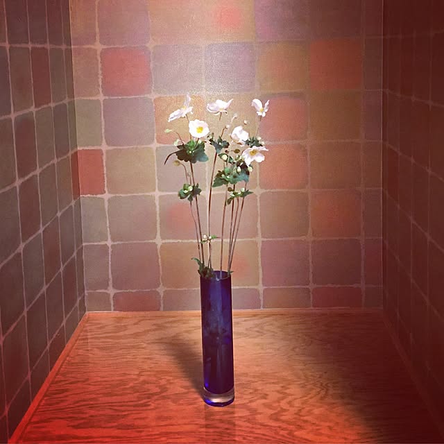 marina_blue_roseさんの実例写真