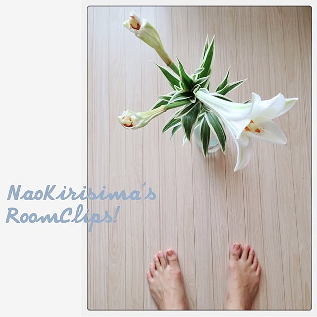 naokirisimaさんの実例写真