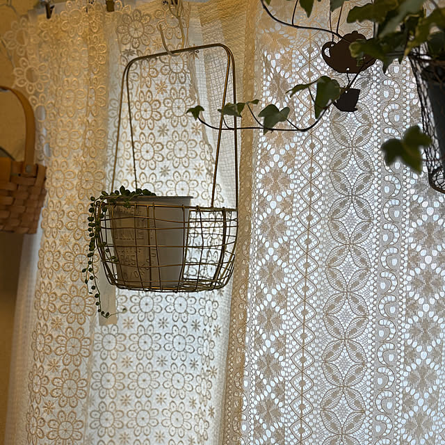 canetteさんの部屋