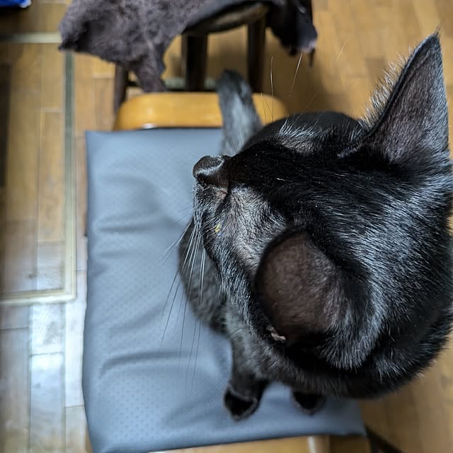 asaさんの実例写真