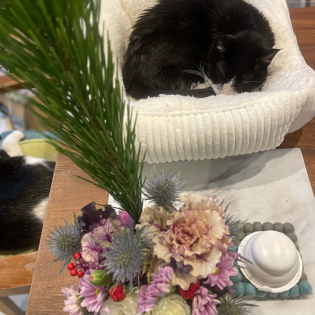 noaさんの実例写真
