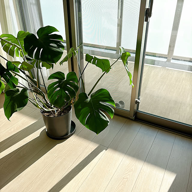 thikoさんの部屋