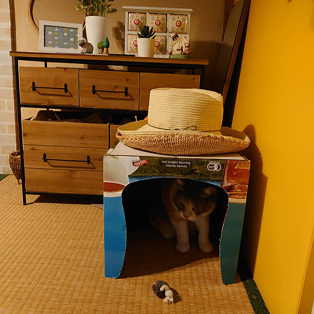 fukuさんの実例写真